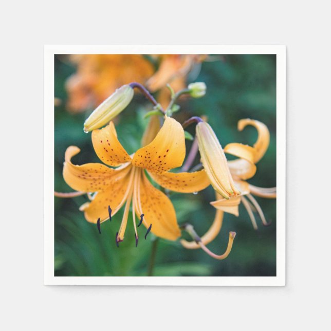 Servilleta De Papel Napkins de papel (Anverso)