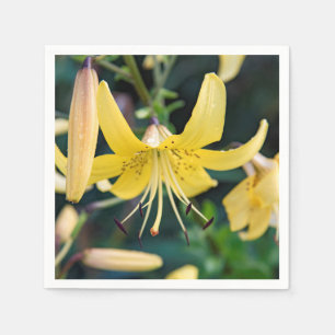 Servilleta De Papel Napkins de papel