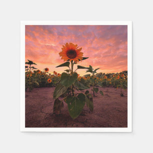 Servilleta De Papel Napkins de papel