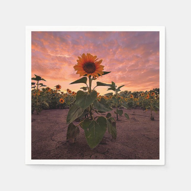 Servilleta De Papel Napkins de papel (Anverso)