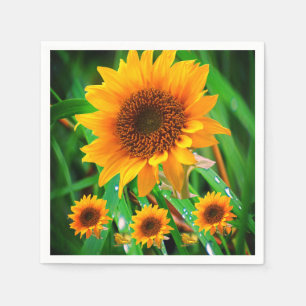 Servilleta De Papel Napkins de papel