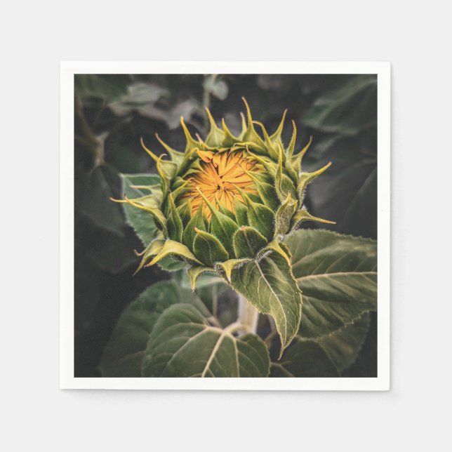 Servilleta De Papel Napkins de papel (Anverso)