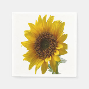 Servilleta De Papel Napkins de papel