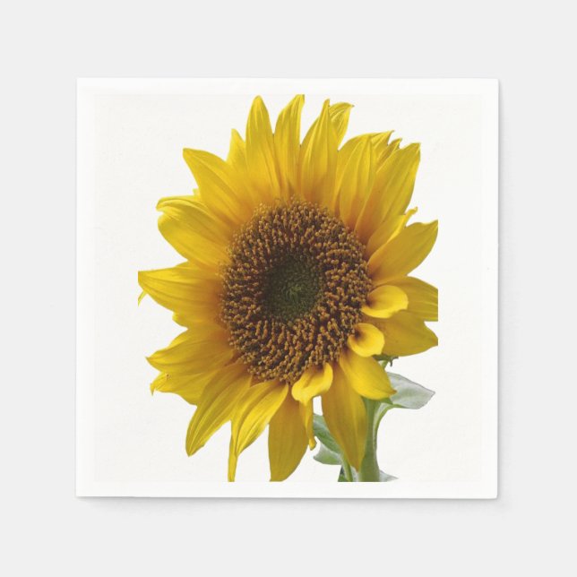 Servilleta De Papel Napkins de papel (Anverso)