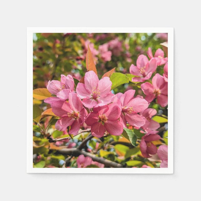 Servilleta De Papel Napkins de papel (Anverso)