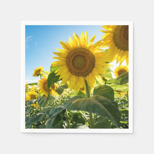 Servilleta De Papel Napkins de papel (Anverso)