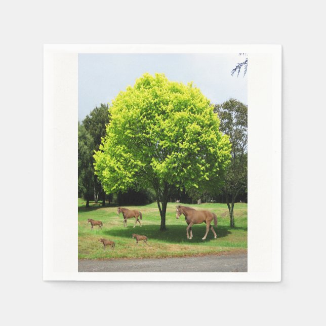 Servilleta De Papel Napkins de papel (Anverso)