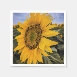 Servilleta De Papel Napkins de papel