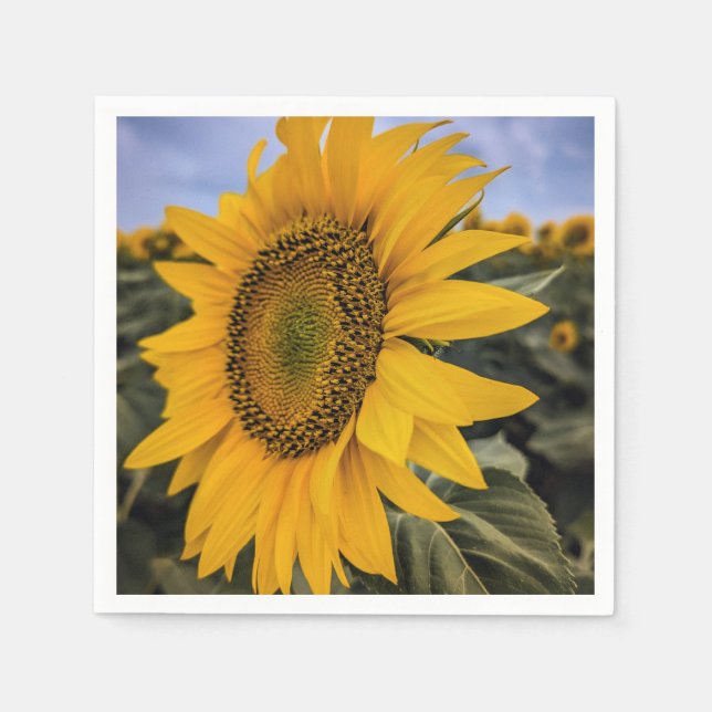 Servilleta De Papel Napkins de papel (Anverso)