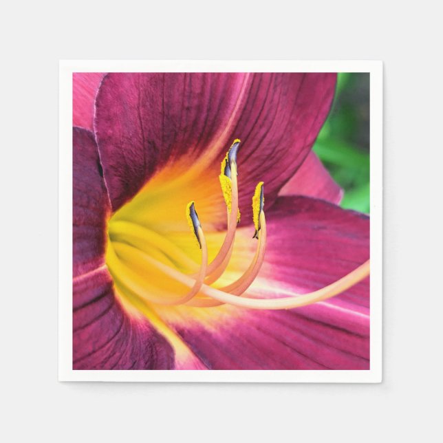 Servilleta De Papel Napkins de papel (Anverso)