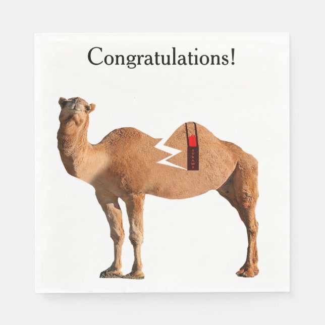 Servilleta De Papel Napkins Fiesta del divorcio (Anverso)