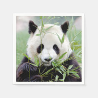 Napkins Photo gigante panda , animales 0302.