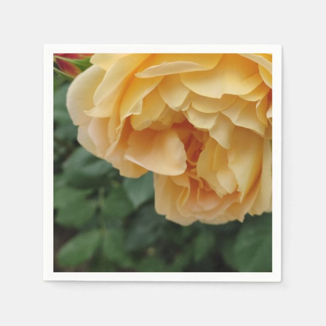 Servilleta De Papel Nápoles de flores de rosa amarillo (Anverso)