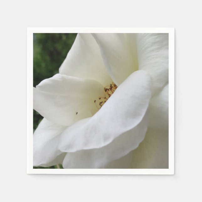 Servilleta De Papel Nápoles de flores de rosa blanco (Anverso)