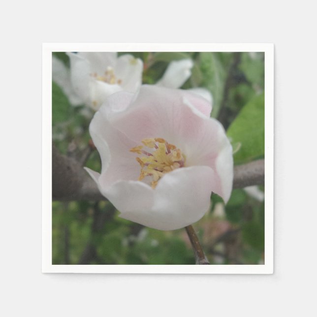 Servilleta De Papel Nápoles de papel de cóctel de pureza (Anverso)