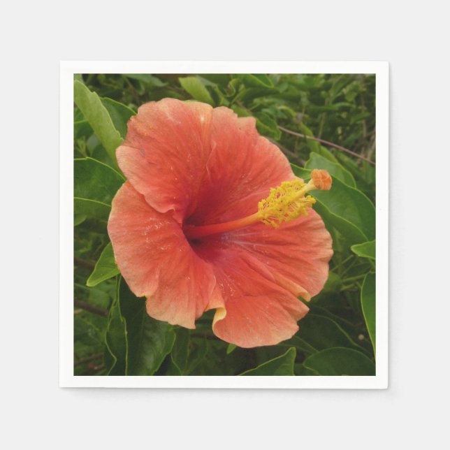 Servilleta De Papel Naranja Hibiscus Flower Tropical Floral (Anverso)