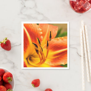 Servilleta De Papel Naranja Tiger Lily Paper Napkins