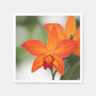 Servilleta De Papel Naranja Tropical Papel Orquídea