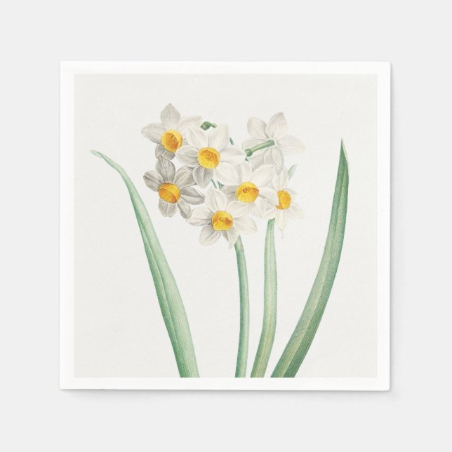 Servilleta De Papel Narciso, Pierre-Joseph Redouté, 1805 (Anverso)