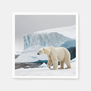 Servilleta De Papel Naturaleza Antártica Iceberg Paisaje al aire libre