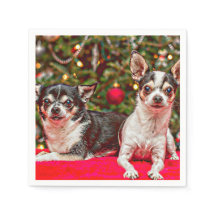 Navidades de Chihuahua