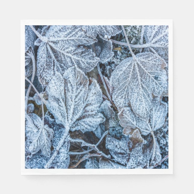 Servilleta De Papel Navidades Fiesta Blue Leaves Vacaciones de Nieve I (Anverso)
