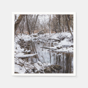 Servilleta De Papel Nieve Riverside