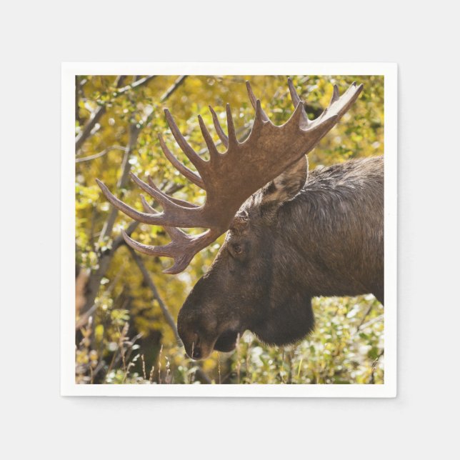 Servilleta De Papel Noble Bull Moose (Anverso)