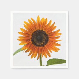 Servilleta De Papel Noche de verano de girasol