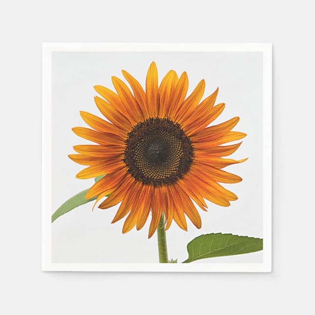 Servilleta De Papel Noche de verano de girasol (Anverso)