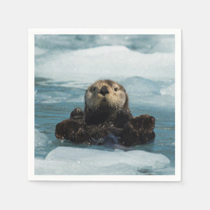 Servilleta De Papel Nutria flotante