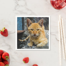 Servilleta De Papel Ojos dorados