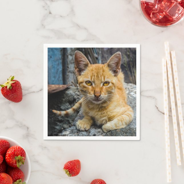 Servilleta De Papel Ojos dorados (In situ)