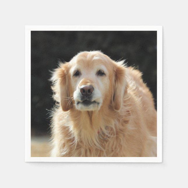 Servilleta De Papel Oldie Golden (Anverso)