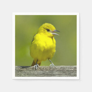 Servilleta De Papel Orchard Oriole - Foto original