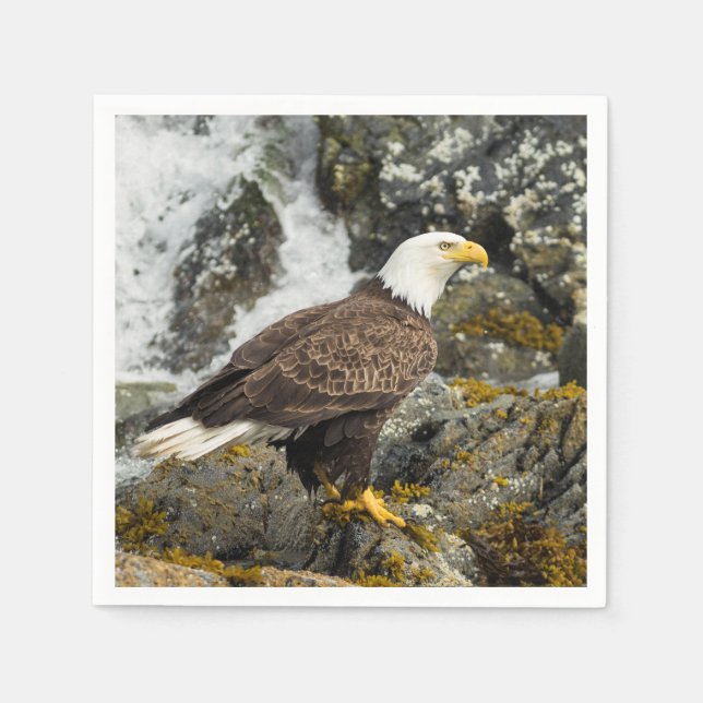 Servilleta De Papel Orgulloso Bald Eagle (Anverso)