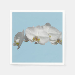 Servilleta De Papel Orquídea blanca bonito en azul claro