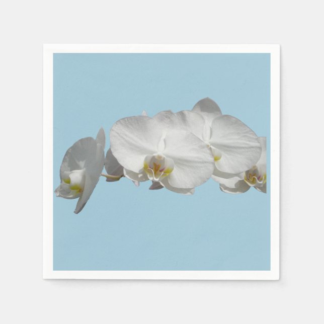 Servilleta De Papel Orquídea blanca bonito en azul claro (Anverso)