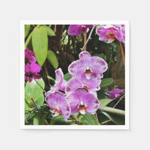 Servilleta De Papel Orquídeas