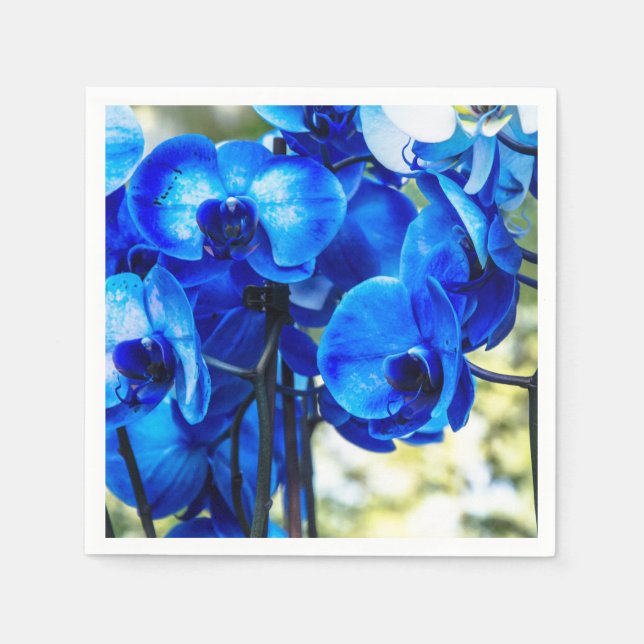 Servilleta De Papel Orquídeas azules (Anverso)