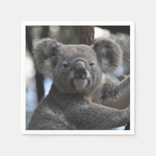Servilleta De Papel Oso de koala en árbol