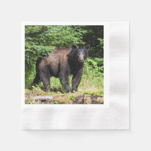 Servilleta De Papel Oso negro alfa