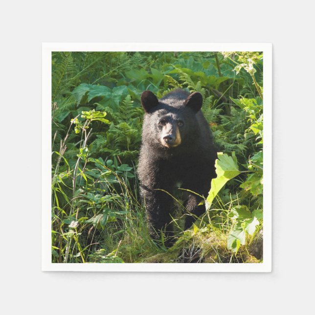 Servilleta De Papel Oso negro curioso (Anverso)