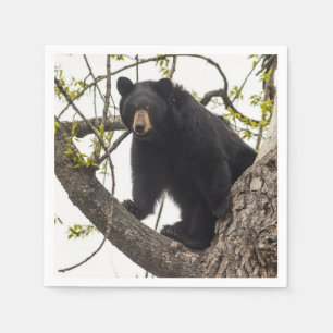 Servilleta De Papel Oso negro que sube