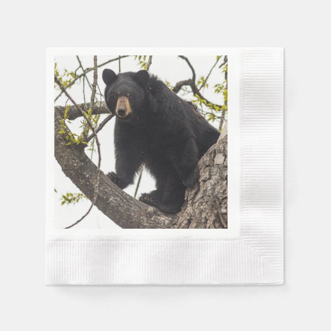 Servilleta De Papel Oso negro trepador (Anverso)