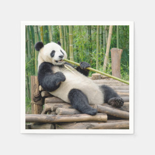 Servilleta De Papel Oso Panda Mordiendo un Tallo de Bambú