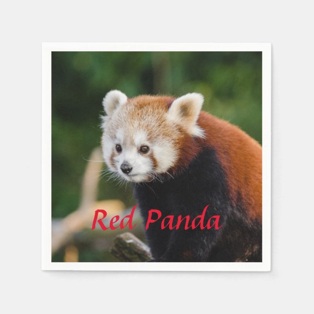 Servilleta De Papel Oso Panda Rojo (Anverso)