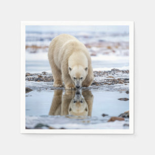 Servilleta De Papel Oso Polar Mirando en un Charco de Hielo Derretido