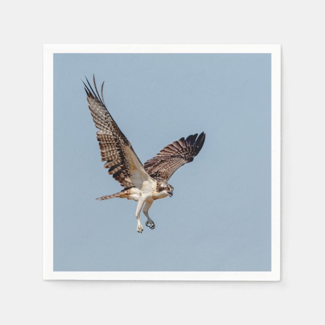 Servilleta De Papel Osprey juvenil en vuelo (Anverso)