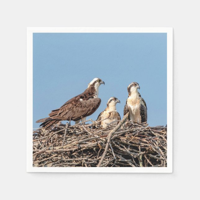 Servilleta De Papel Osprey mamá con sus hijos (Anverso)